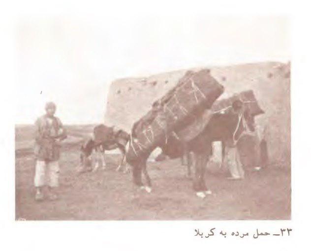 با کاروان مردگان